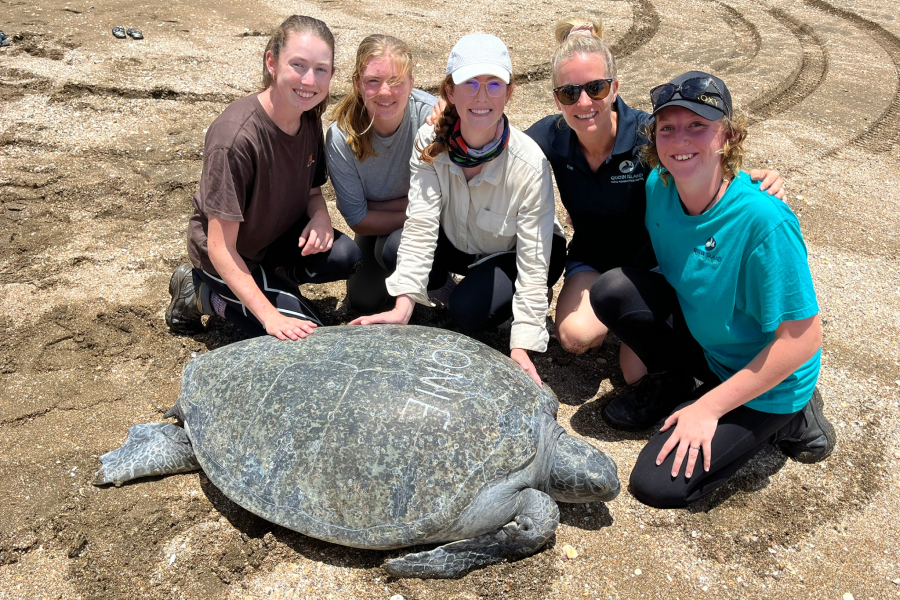 turtle-on-beach-with-carers-quoin-island
