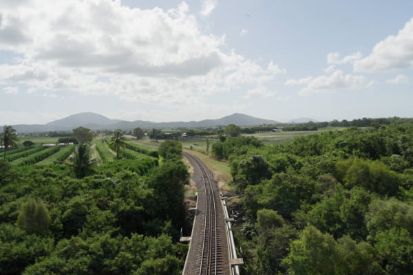 rail-line-through-trees-card-collection
