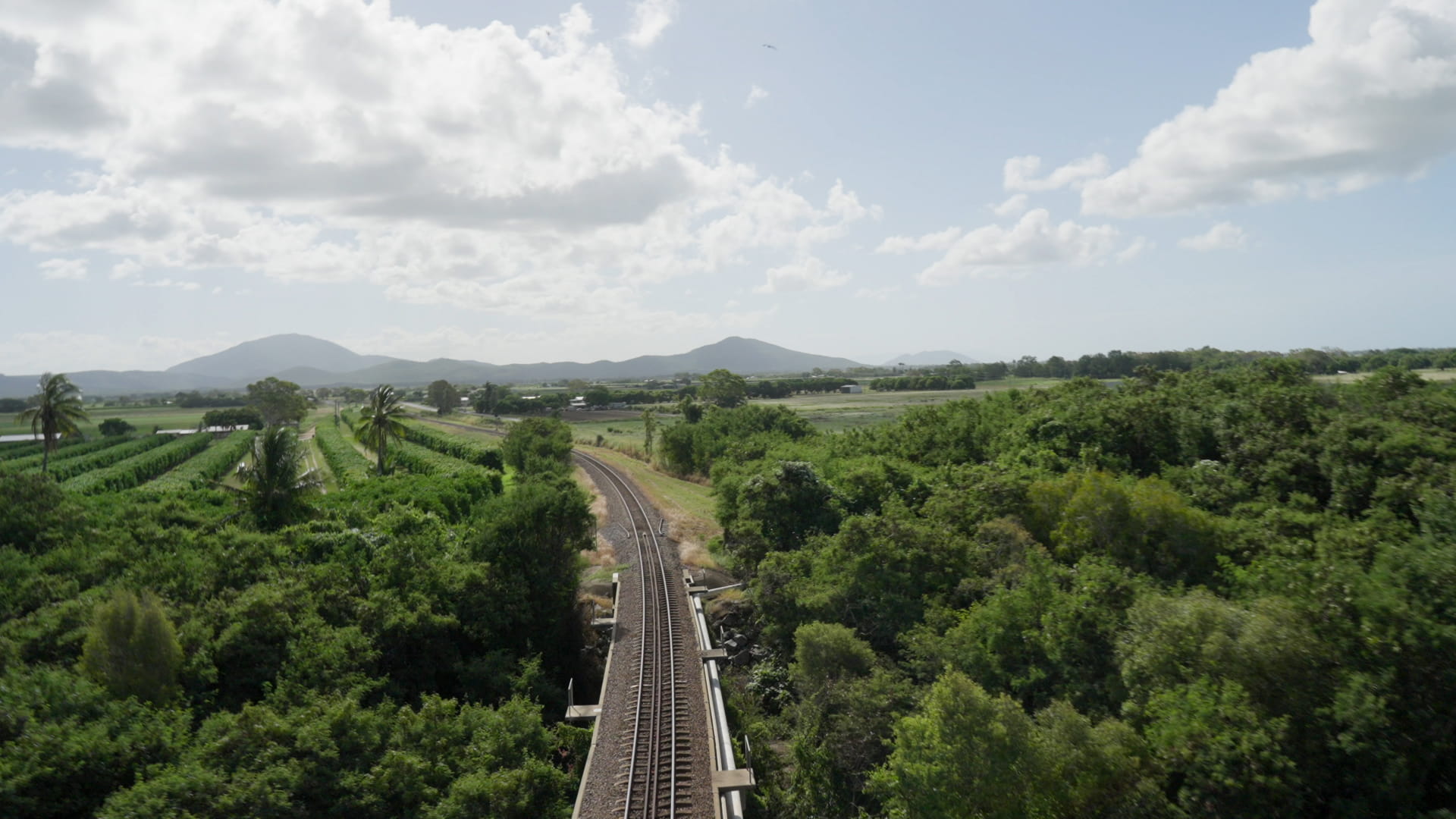 rail-line-through-trees-header-banner
